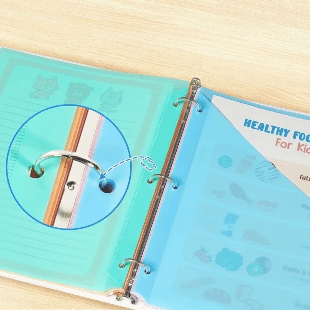 8 divisórias para fichário A4  - Tab Divider A4 avaliação e preço